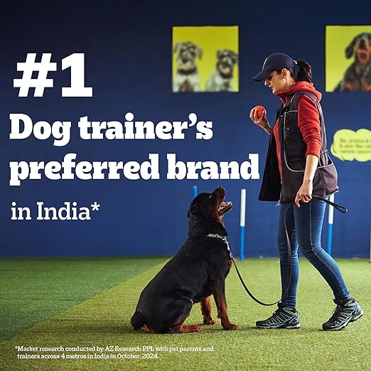 Pedigree Biscrok (Above 4 Months) Dog Biscuits, Chicken and Milk Flavour, 900 g, No. 1 Dog Trainer’s Preferred Brand in India - Image 2