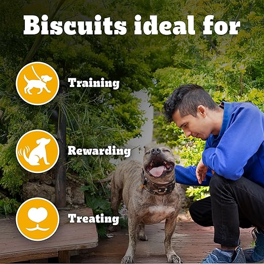 Pedigree Biscrok (Above 4 Months) Dog Biscuits, Chicken and Milk Flavour, 900 g, No. 1 Dog Trainer’s Preferred Brand in India - Image 3
